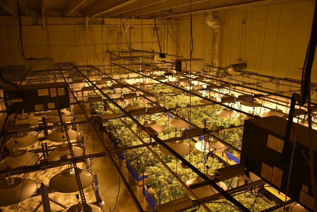 Grow Room